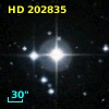 HD 202835