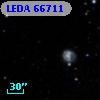 LEDA   66711