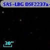 SAS-LBG DSF2237a-C2
