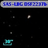 SAS-LBG DSF2237b-MD81
