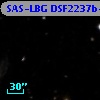 SAS-LBG DSF2237b-MD2