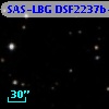 SAS-LBG DSF2237b-D4
