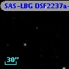 SAS-LBG DSF2237a-C13