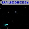 SAS-LBG DSF2237a-C15