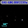 SAS-LBG DSF2237a-C20
