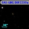 SAS-LBG DSF2237a-D6
