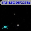 SAS-LBG DSF2237a-D9