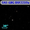 SAS-LBG DSF2237a-M1