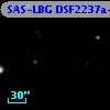 SAS-LBG DSF2237a-M13