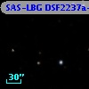 SAS-LBG DSF2237a-M19