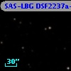 SAS-LBG DSF2237a-M25