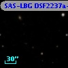 SAS-LBG DSF2237a-MD6