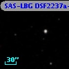 SAS-LBG DSF2237a-MD25