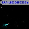SAS-LBG DSF2237a-MD37