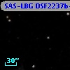 SAS-LBG DSF2237b-C7