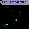 SAS-LBG DSF2237b-C10