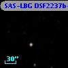 SAS-LBG DSF2237b-C20