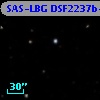 SAS-LBG DSF2237b-C30