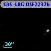 SAS-LBG DSF2237b-C33