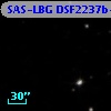 SAS-LBG DSF2237b-C38
