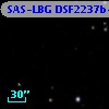 SAS-LBG DSF2237b-C40