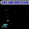SAS-LBG DSF2237b-C50