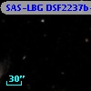 SAS-LBG DSF2237b-D1