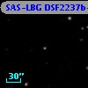 SAS-LBG DSF2237b-D8