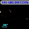 SAS-LBG DSF2237b-D10