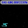 SAS-LBG DSF2237b-D15
