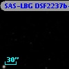 SAS-LBG DSF2237b-D16