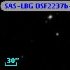 SAS-LBG DSF2237b-D17