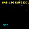 SAS-LBG DSF2237b-D29