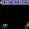 SAS-LBG DSF2237b-M1
