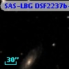 SAS-LBG DSF2237b-M3