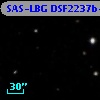 SAS-LBG DSF2237b-M4