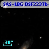 SAS-LBG DSF2237b-M5