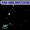 SAS-LBG DSF2237b-M6
