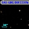 SAS-LBG DSF2237b-M12