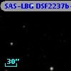 SAS-LBG DSF2237b-M16
