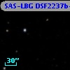 SAS-LBG DSF2237b-M21