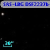SAS-LBG DSF2237b-M36
