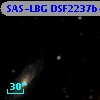 SAS-LBG DSF2237b-MD1
