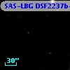 SAS-LBG DSF2237b-MD5