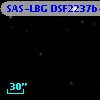 SAS-LBG DSF2237b-MD8