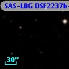 SAS-LBG DSF2237b-MD17