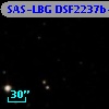 SAS-LBG DSF2237b-MD30