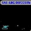 SAS-LBG DSF2237b-MD33