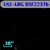 SAS-LBG DSF2237b-MD38