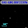 SAS-LBG DSF2237b-MD51